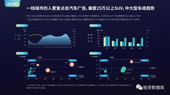 國(guó)雙數(shù)據(jù)中心2017年互聯(lián)網(wǎng)發(fā)展報(bào)告 互聯(lián)網(wǎng)數(shù)據(jù)服務(wù)的前景與挑戰(zhàn)